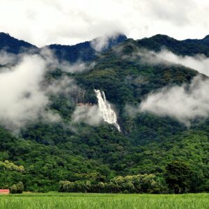 Udzungwa Mountains National Park