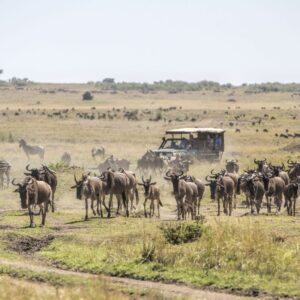 Katavi National Park