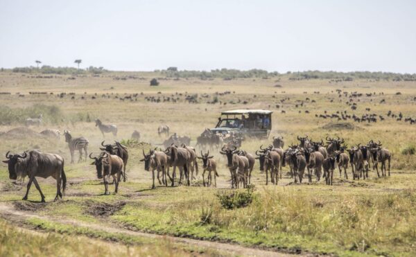 Katavi National Park