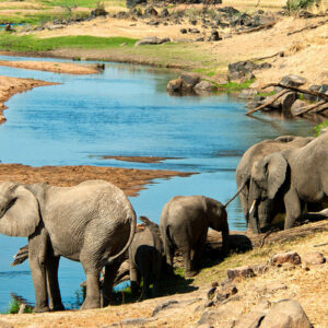 Ruaha National Park