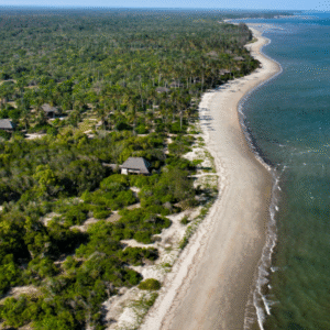Saadani National Park